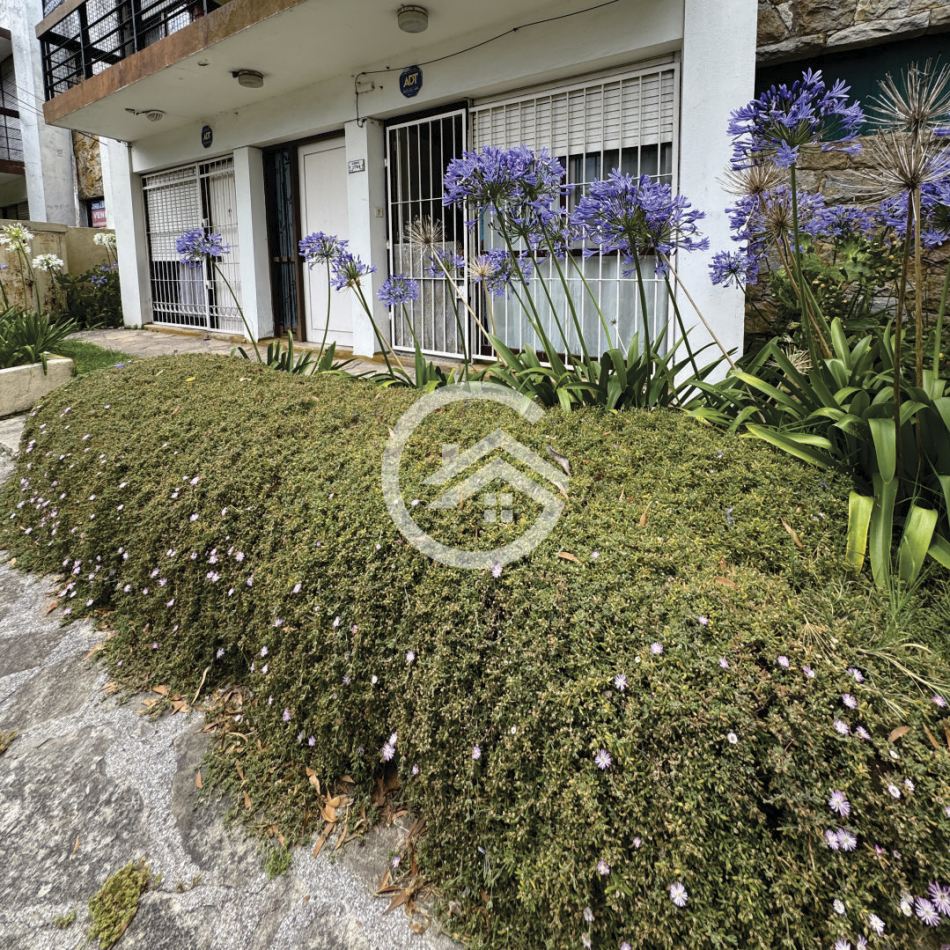 PH 3 ambientes con patio - Punta Mogotes